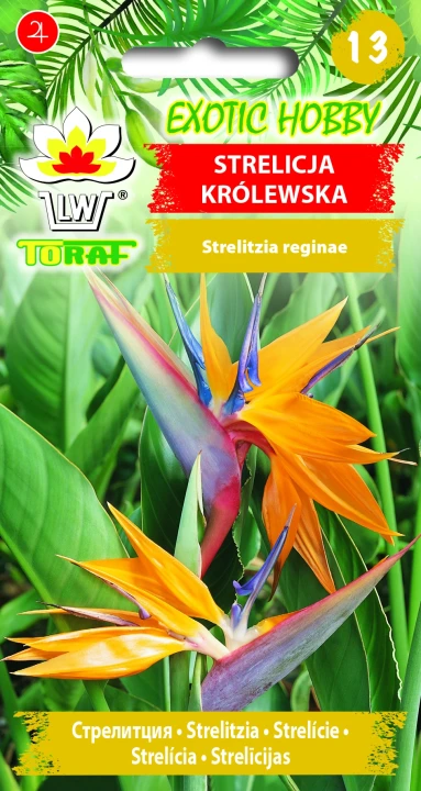 Strelicja-królewska.webp