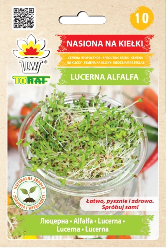 lucerna.webp
