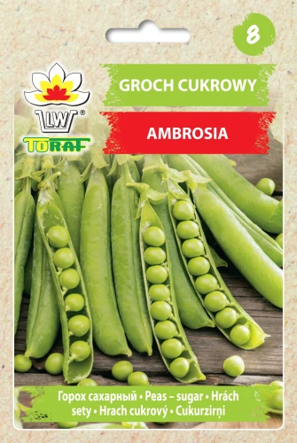 groch-ambrosia.webp