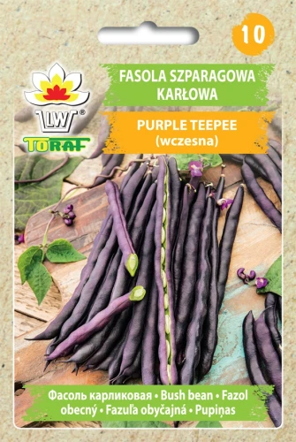 Fasola-PURPLE-TEEPEE.webp