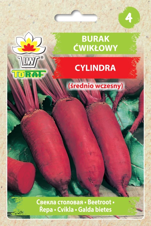 burak-cwiklowy-cylindra.webp