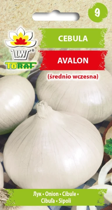Cebula-biała-AVALON.webp