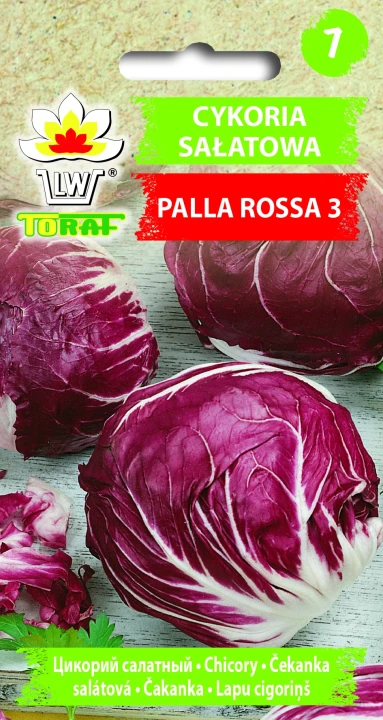 Cykoria-sałatowa-PALLA-ROSA-3.webp