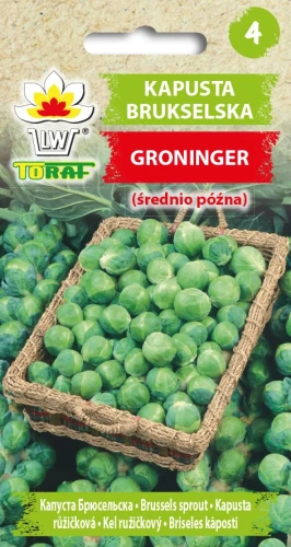 Kapusta-brukselska-GRONINGER.webp