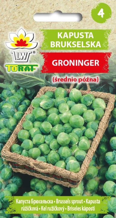 Kapusta-brukselska-GRONINGER.webp
