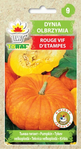 Dynia-olbrzymia-ROUGE-VIF-D-ETAMPES.webp
