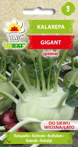 Kalarepa-GIGANT.webp