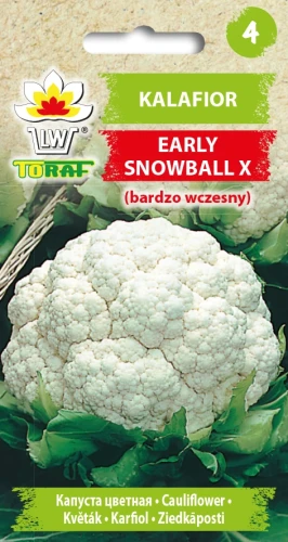 Kalafior-EARLY-SNOWBALL-X.webp