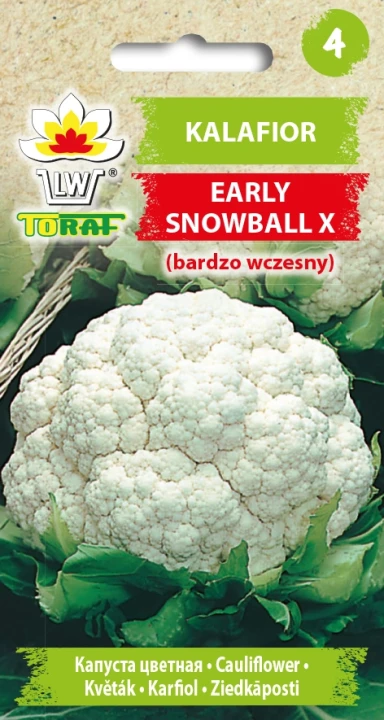 Kalafior-EARLY-SNOWBALL-X.webp