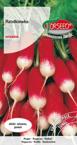Rzodkiewka-Silesia.webp