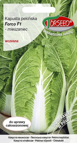 kapusta-pekinska-forco.webp