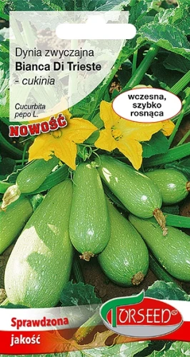 cukinia-bianca-di-trieste.webp
