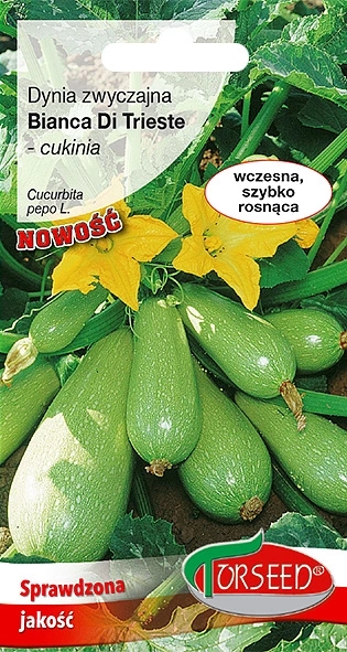 cukinia-bianca-di-trieste.webp