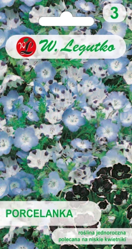 Porcelanka-mieszanka-gatunkow.webp