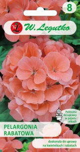 Pelargonia rabatowa łososiowa nasiona 0,05g Legutko