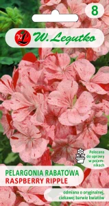 Pelargonia rabatowa Raspberry Ripple nasiona 0,04g Legutko