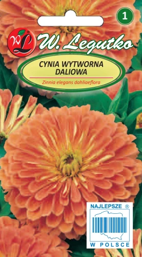 Cynia-wytworna-daliowa-Eldorado.webp