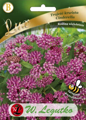 Trojeść-krwista-Cinderella.webp