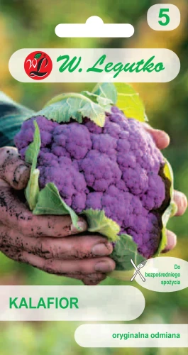 Kalafior-Di-Sicilia-Violetto.webp