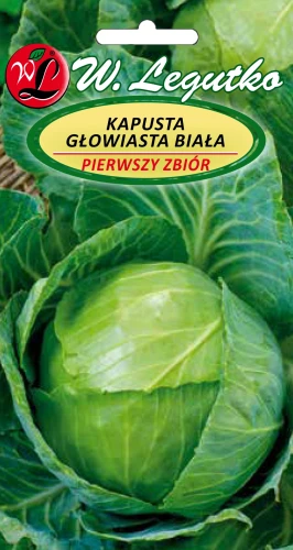 Kapusta-Pierwszy-Zbior.webp