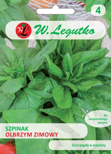 Szpinak-Olbrzym-Zimowy.webp