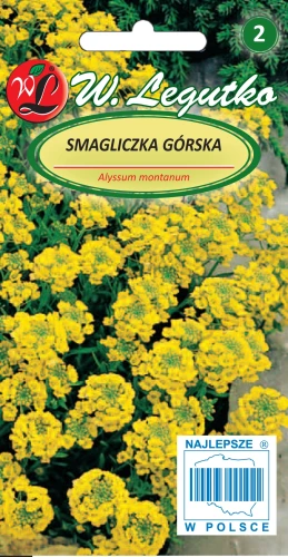 Smagliczka-gorska.webp