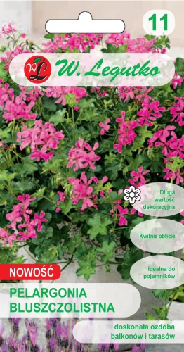 Pelargonia-Bluszczolistna.webp