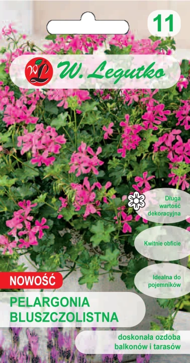 Pelargonia-Bluszczolistna.webp