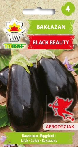 BAKŁAŻAN-BLACK-BEAUTY.webp