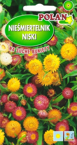 nieśmiertelnik-niski.webp