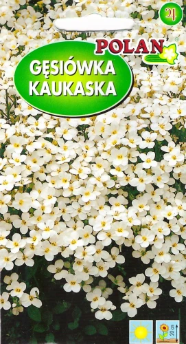 gęsiówka-kaukaska.webp