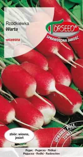 Rzodkiewka-Warta.webp