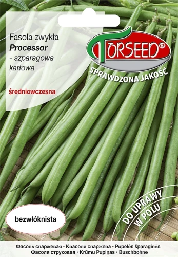 fasola-processor.webp