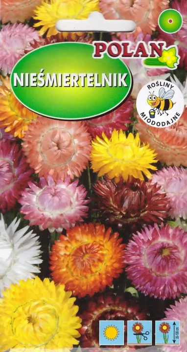 nieśmiertelnik-mix.webp