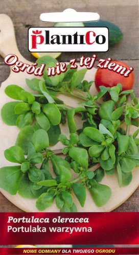 portulaka-warzywna.webp