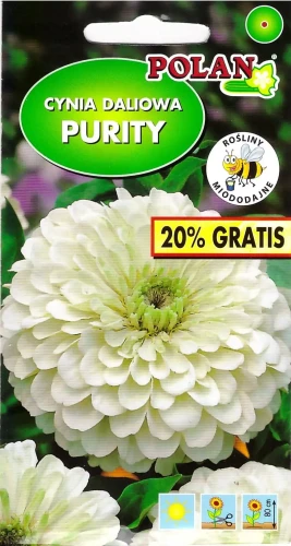 cynia-purity.webp
