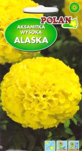 Aksamitka wysoka Alaska (Pol 2g)