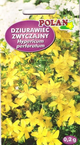 dziurawiec-zwyczajny.webp