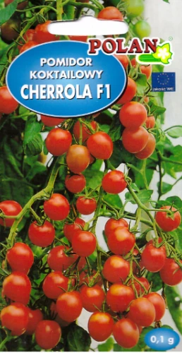 pomidor-cherrola.webp