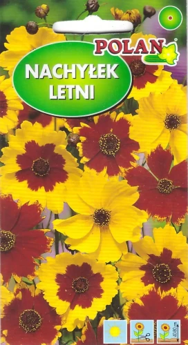 nachyłek-letni-mix.webp
