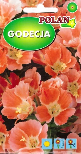 godecja-orange-glory.webp