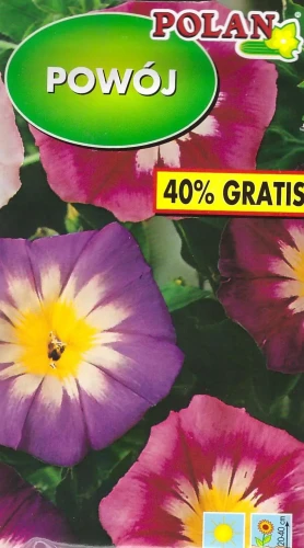 powój-trójbarwny-mix.webp