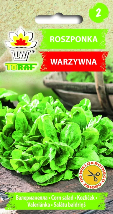 Roszponka.webp
