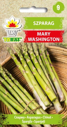 Szparag-MARY-WASHINGTON.webp