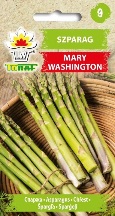 Szparag-MARY-WASHINGTON.webp