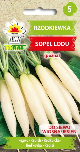 Rzodkiewka-SOPEL-LODU.webp