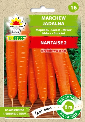 marchew-Nantaise-tasma.webp