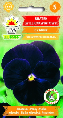 Bratek-wielkokwiatowy-CZARNY.webp