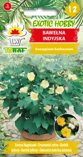 Bawełna-Indyjska.webp