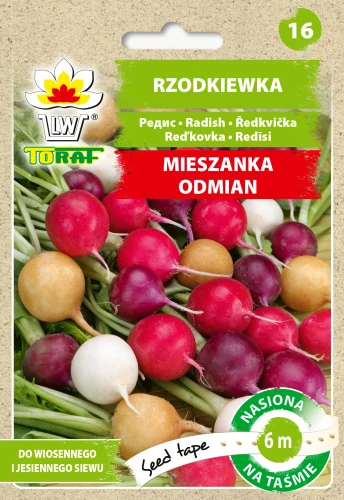 Rzodkiewka-MIX-odmian-tasma.webp
